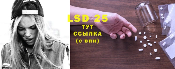 прущие грибы Горняк