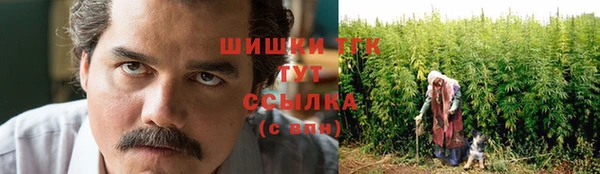 ГАЛЛЮЦИНОГЕННЫЕ ГРИБЫ Горнозаводск