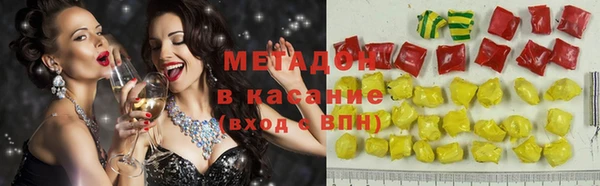 прущие грибы Горняк