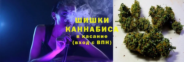 прущие грибы Горняк