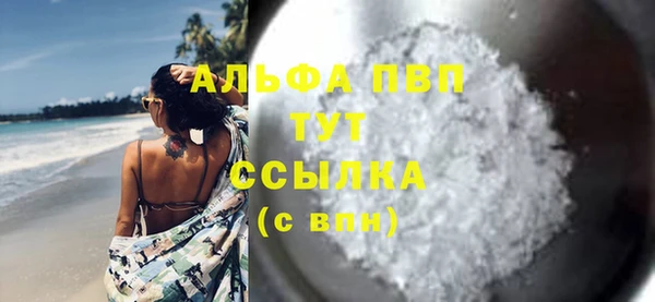 прущие грибы Горняк