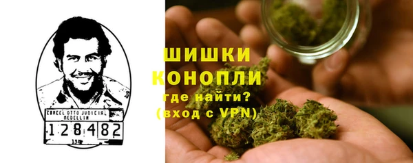 ГАЛЛЮЦИНОГЕННЫЕ ГРИБЫ Горнозаводск