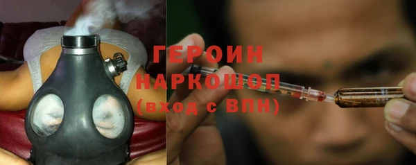 прущие грибы Горняк