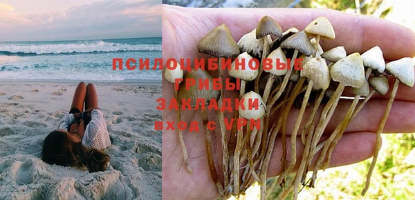 ГАЛЛЮЦИНОГЕННЫЕ ГРИБЫ Горнозаводск