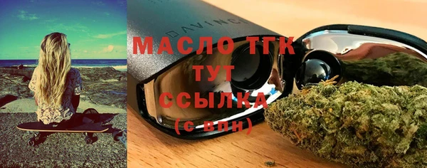 прущие грибы Горняк