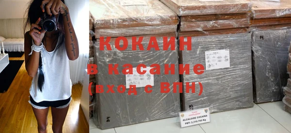 прущие грибы Горняк