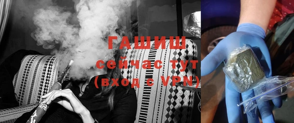прущие грибы Горняк