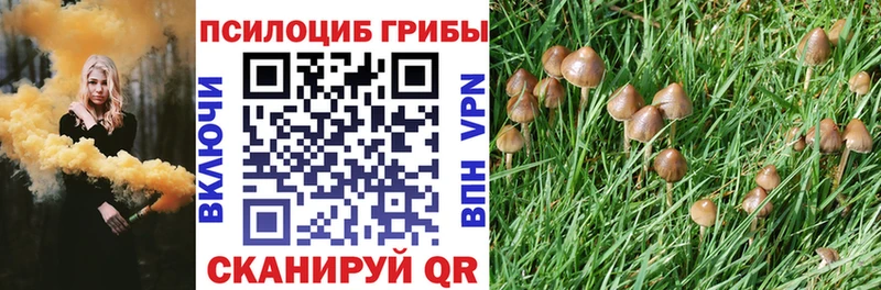 Купить где  Ессентукская  Псилоцибиновые грибы мухоморы 